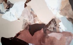 Golden Hase Golden Hase