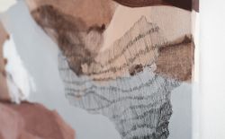 Golden Hase Golden Hase