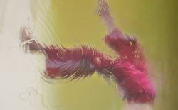 Danse en vert